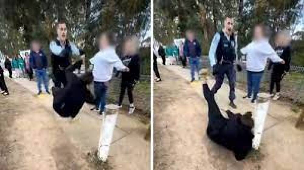 न्यू साउथ वेल्स स्कूल के बाहर महिला को धक्का देने के आरोप में पुलिस जांच में, वीडियो वायरल