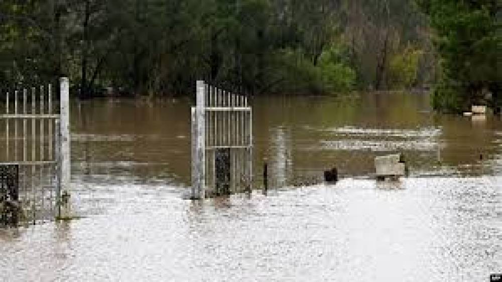 एनएसडब्ल्यू और सिडनी में लगातार बारिश से हाहाकार