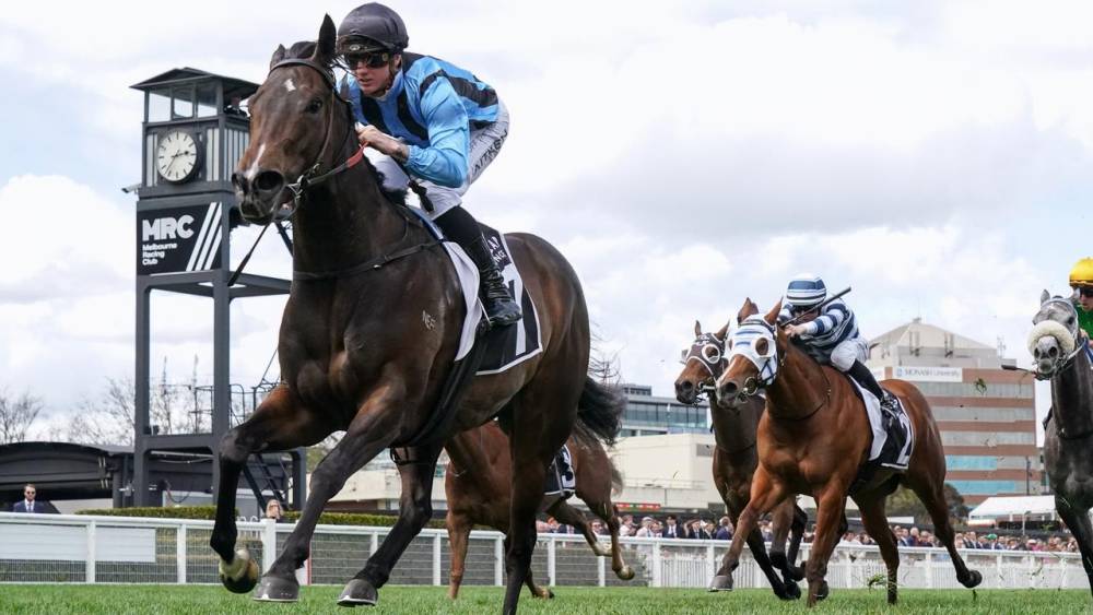 ऑस्ट्रेलिया: ईमेल की चूक से हाई-प्रोफाइल घुड़दौड़ ट्रेनर्स की वित्तीय जानकारी लीक, $3 अरब के रेसिंग उद्योग में मचा हड़कंप