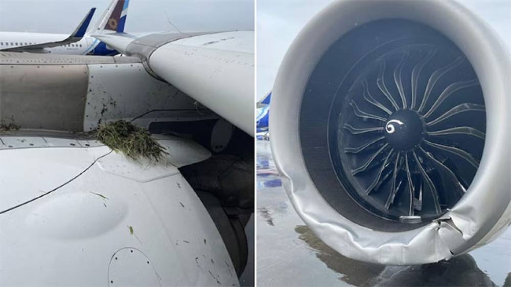 एयर इंडिया विमान की मुंबई में लैंडिंग के दौरान बड़ा हादसा टला, इंजन हुआ क्षतिग्रस्त