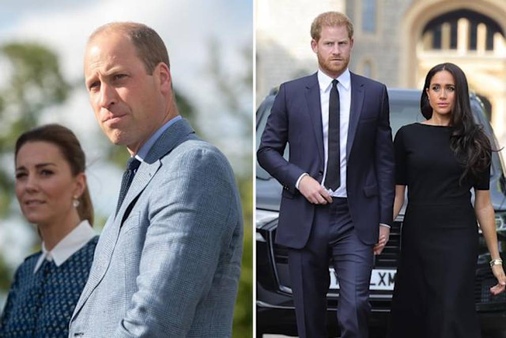 प्रिंस हैरी ने अपने भाई प्रिंस विलियम को लेकर चिंता की खबरों को खारिज किया