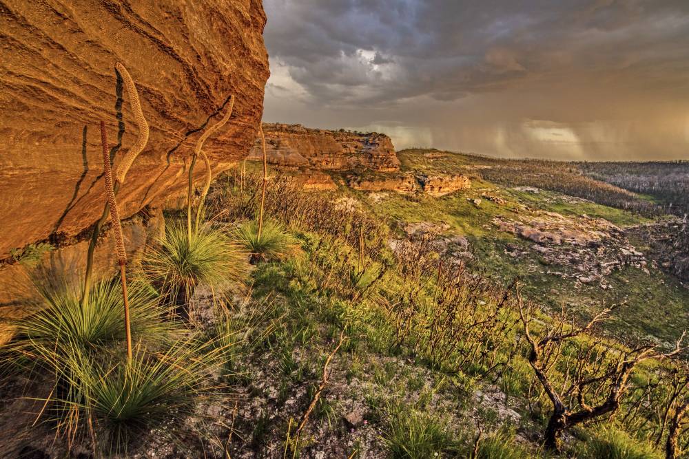 सिडनी का 'ग्रीन एंड क्लीन' काउंसिल, नेशनल पार्क में ऑरेंज कलर की प्रदूषण फैलाने पर घिरा