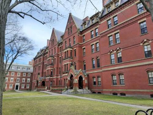 Donald Trump Takes Major Action Against Harvard, Moves to Revoke Tax-Exempt Status: “They Deserve It”