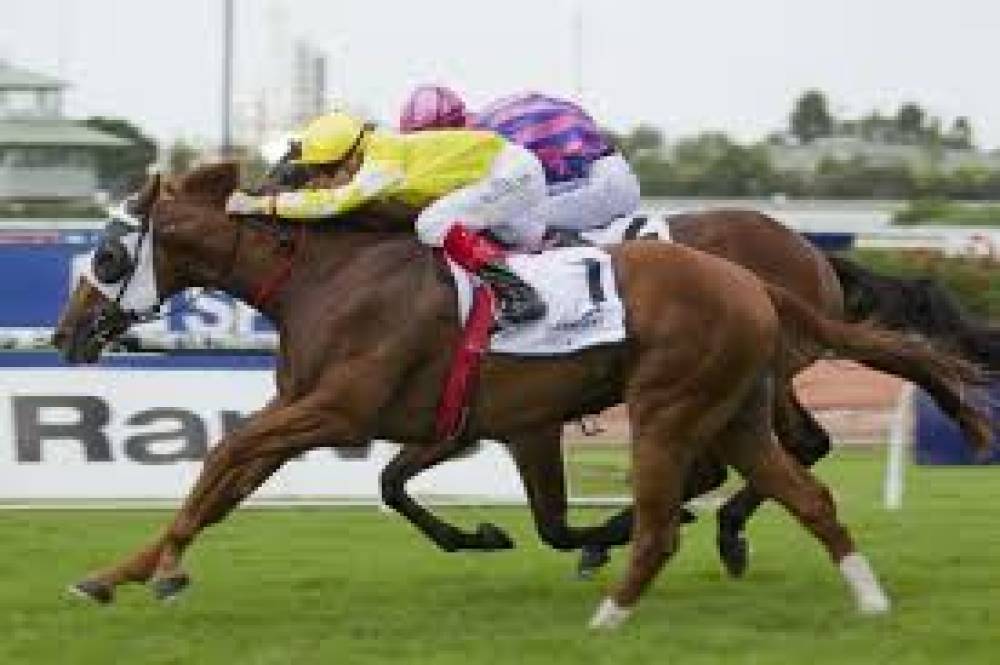 ऑस्ट्रेलियन टर्फ क्लब पर संकट गहराया