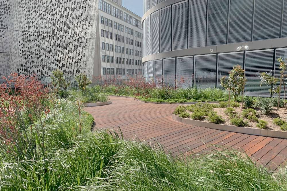 ऑस्ट्रेलिया में विश्वविद्यालयों की छंटनी पर सुरक्षा नियामक की रोक