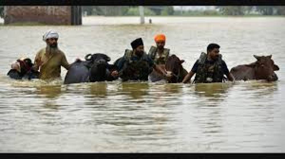 पंजाब में 1988 के बाद की सबसे भीषण बाढ़